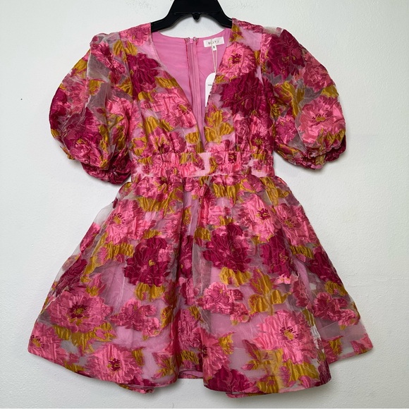 NWT Billy J V-Neckline Floral Puff Sleeve  Abel Mini Dress - Picture 4 of 16